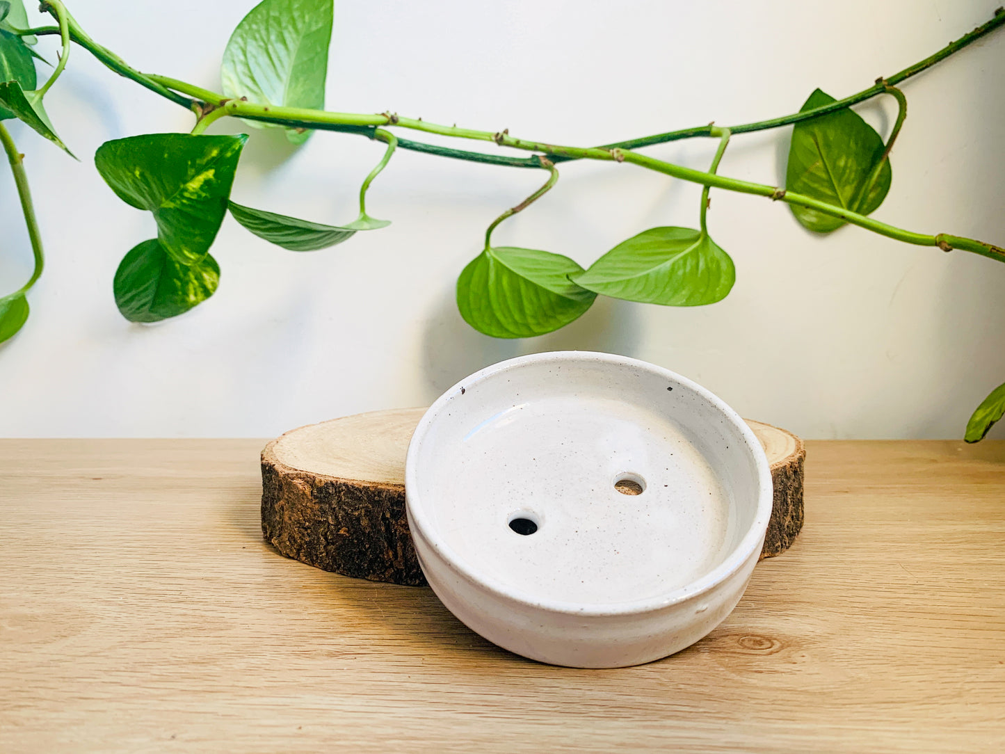 soap dish: snow