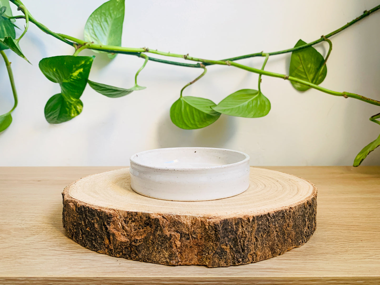 soap dish: snow
