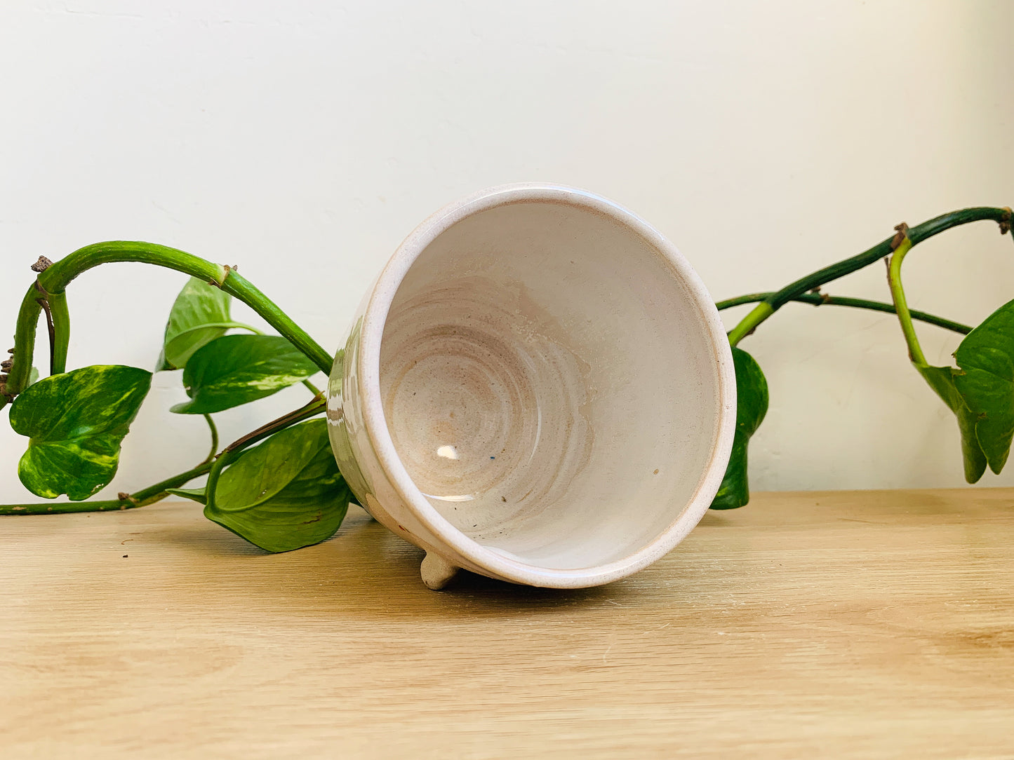 planter pot: milky pink