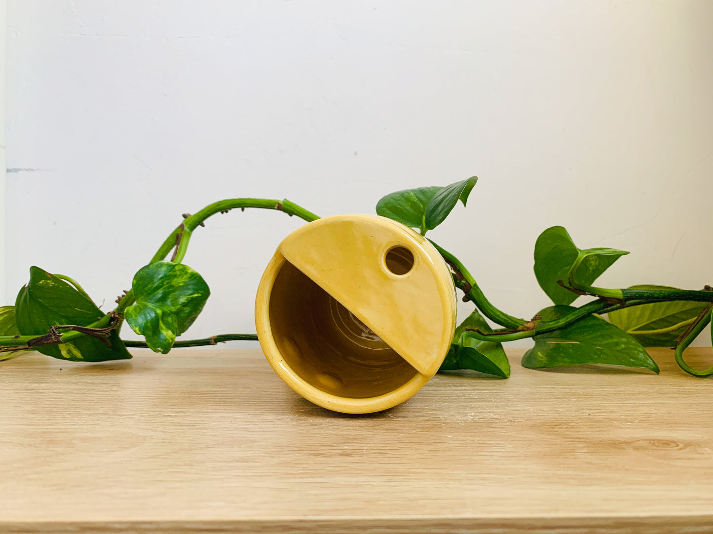 to-go cup: speckled ivory/buttercup