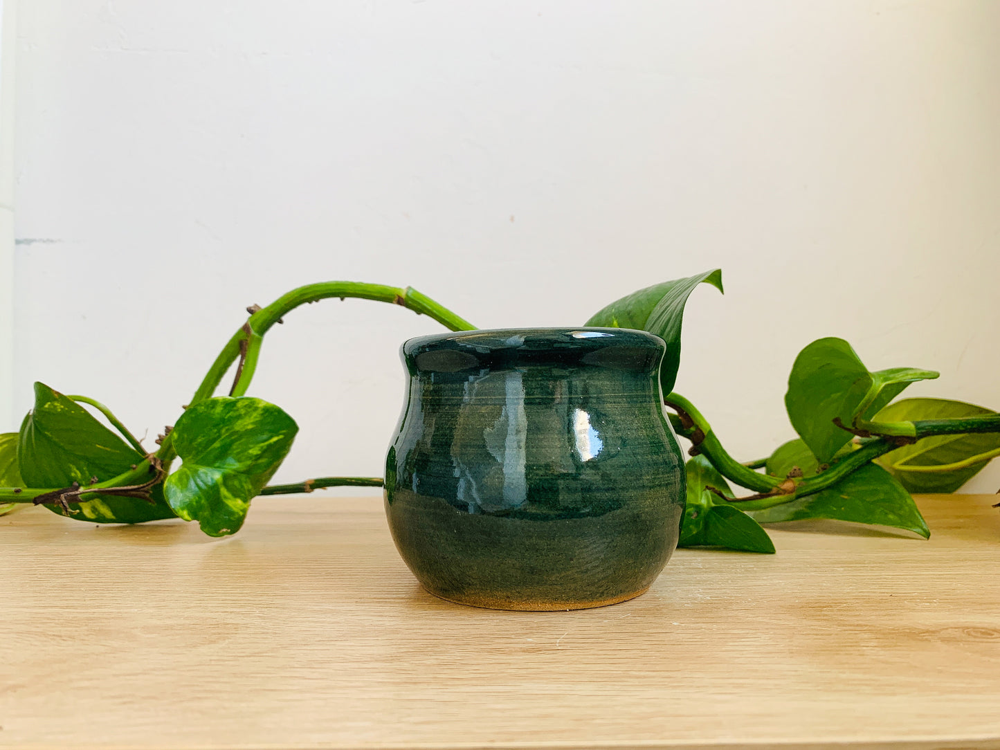 mini pot: forest