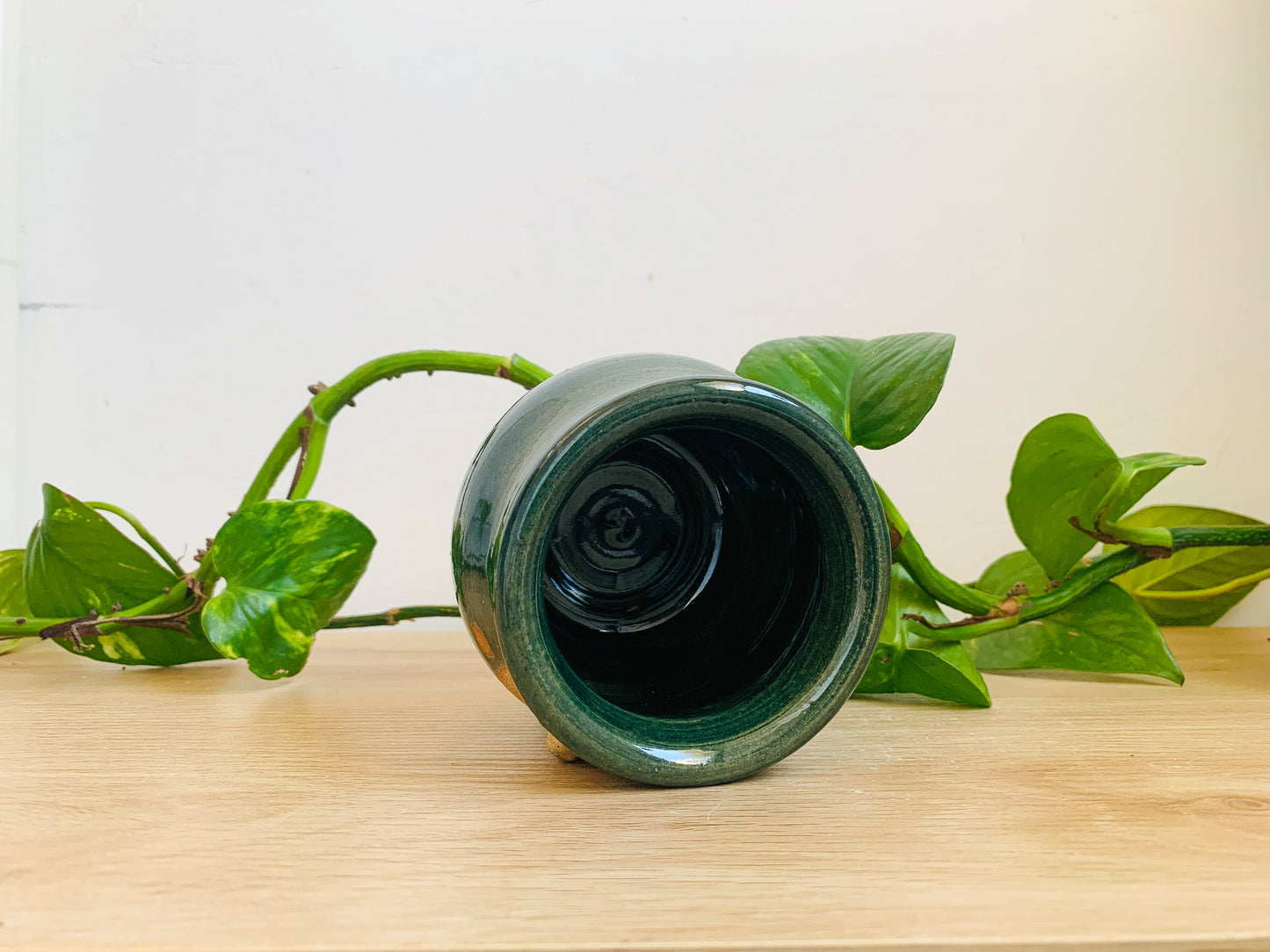 mini pot: forest