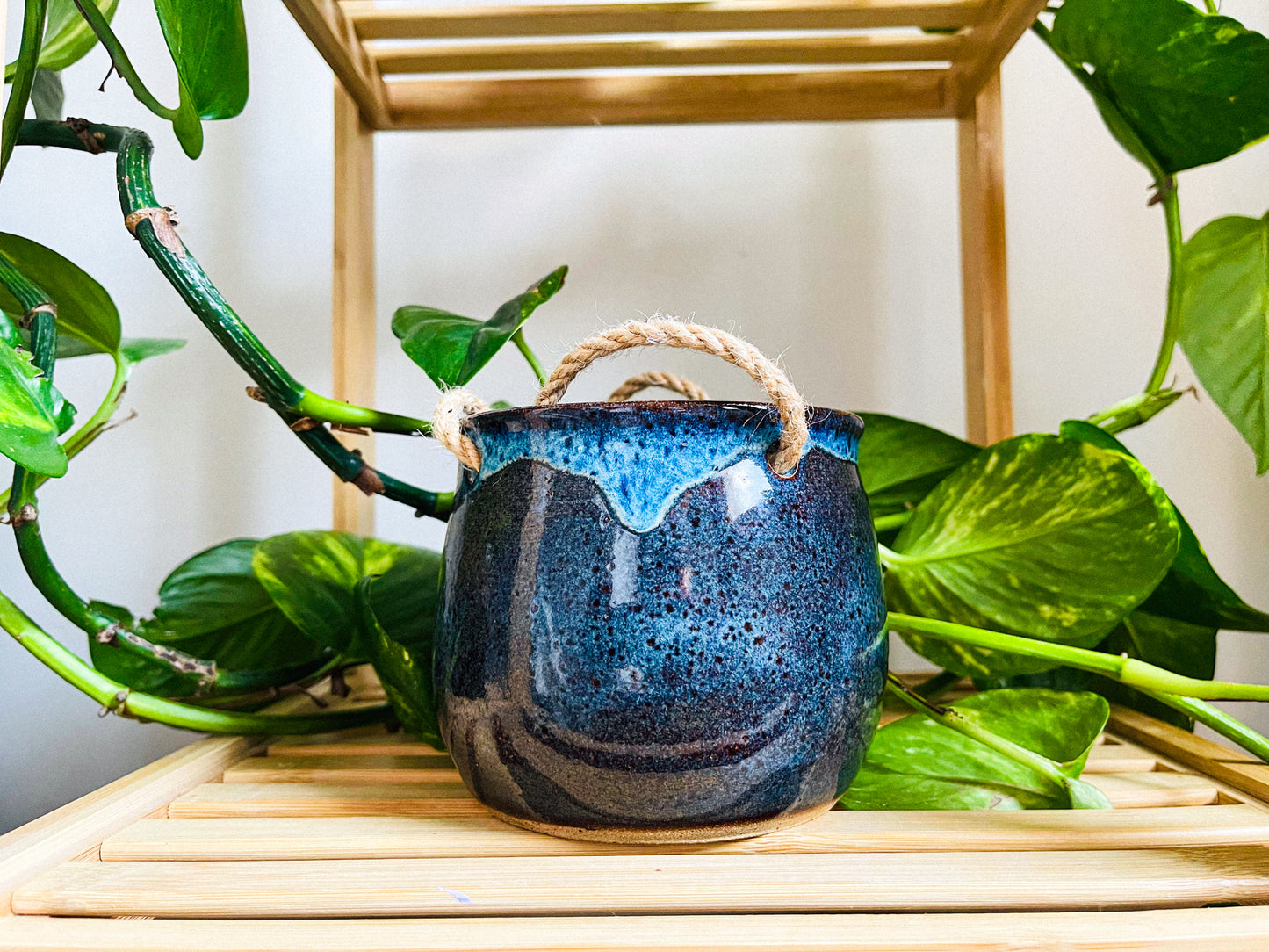 hanging planter: midnight rain