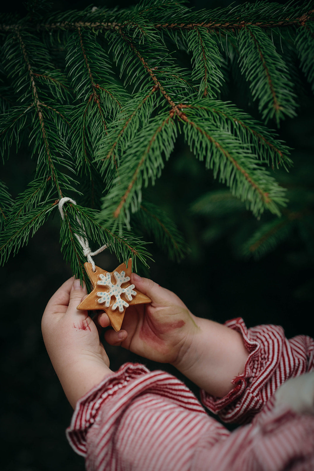 2-part ceramic christmas decorations: colchester