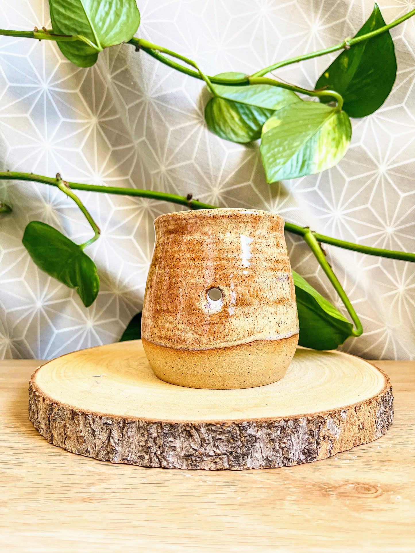 wax melter: cinnamon