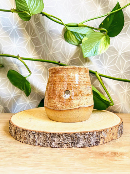 wax melter: cinnamon