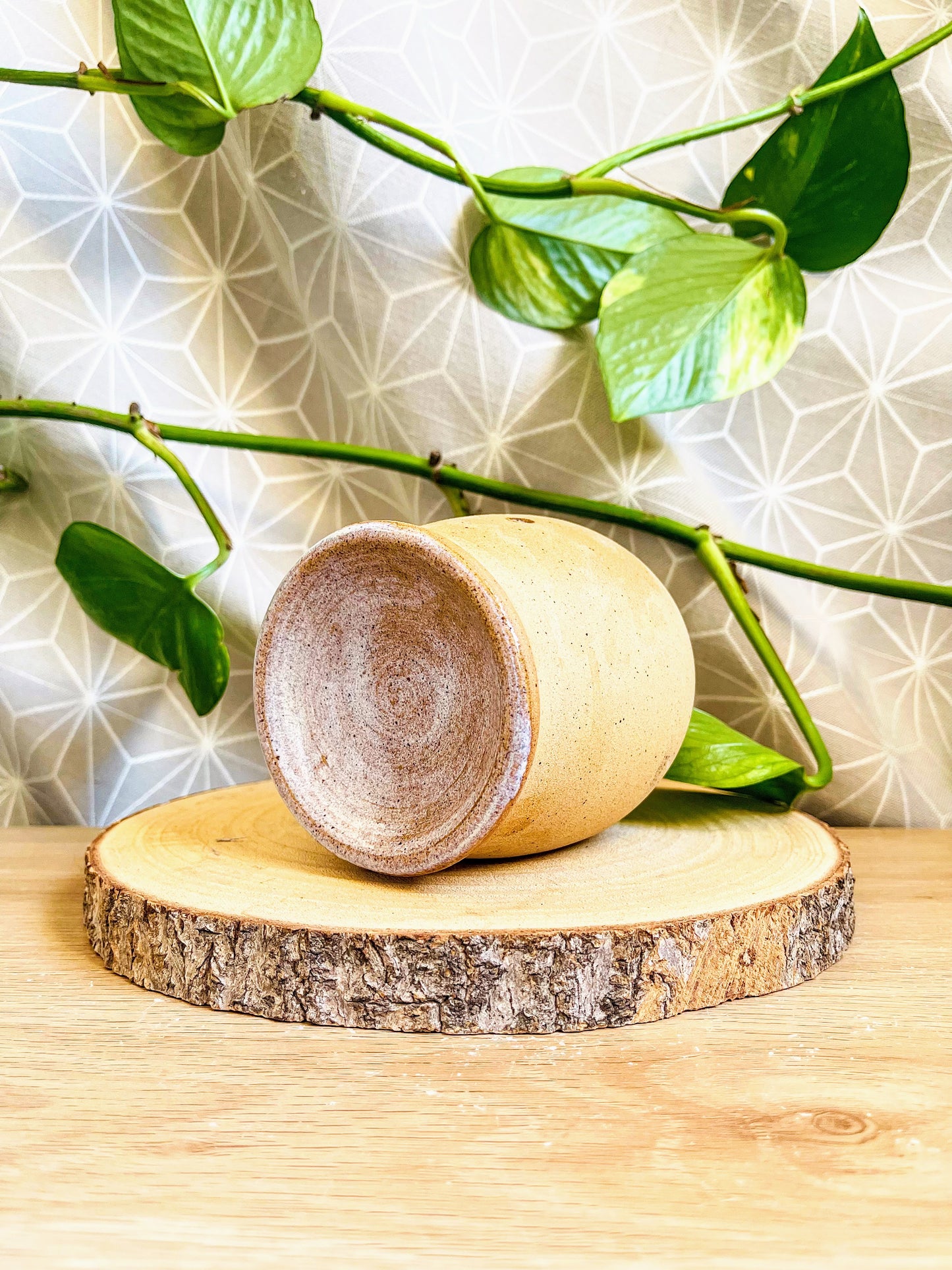 wax melter: sand/frost