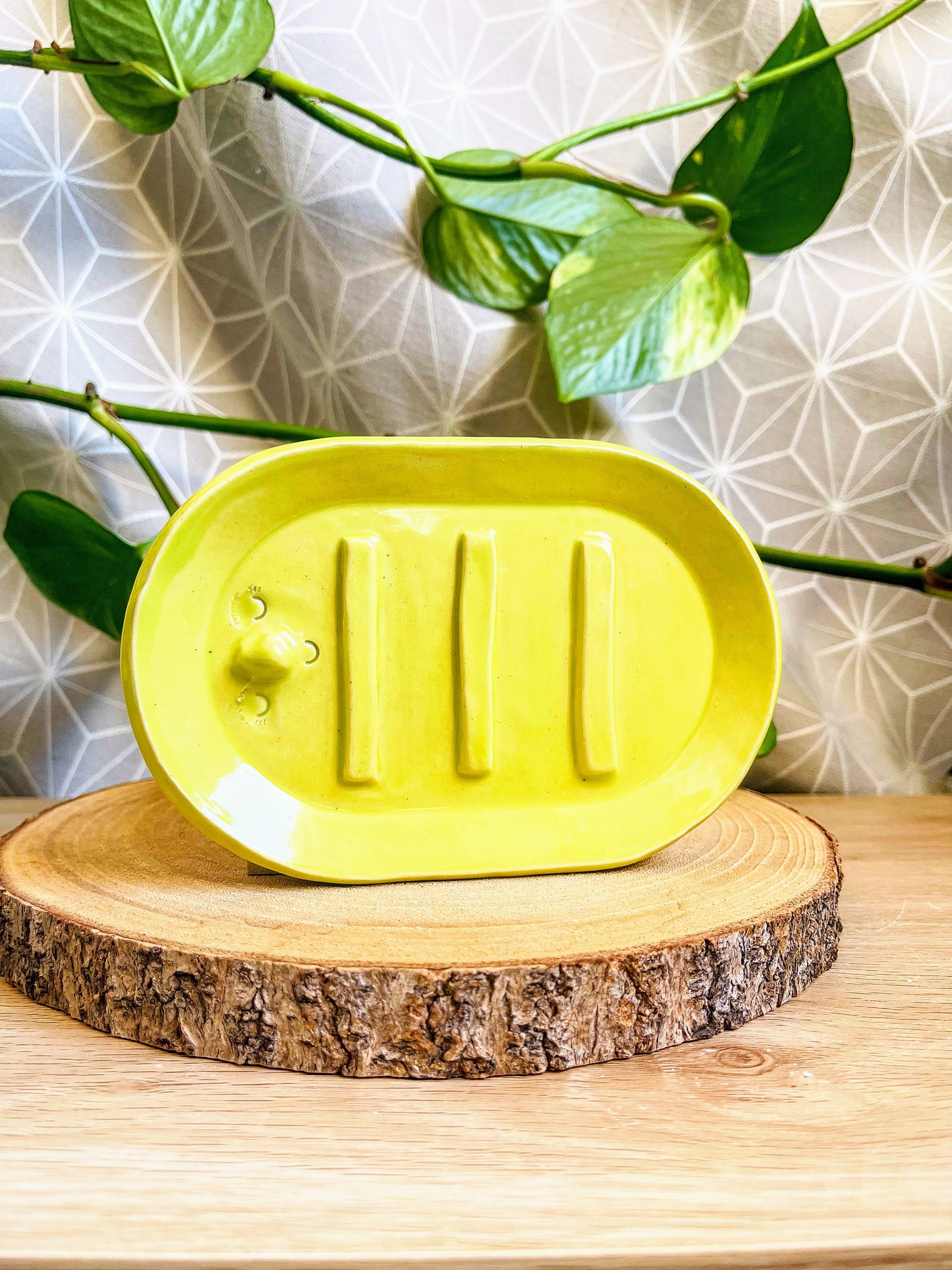 ovalish soap dish: various colours