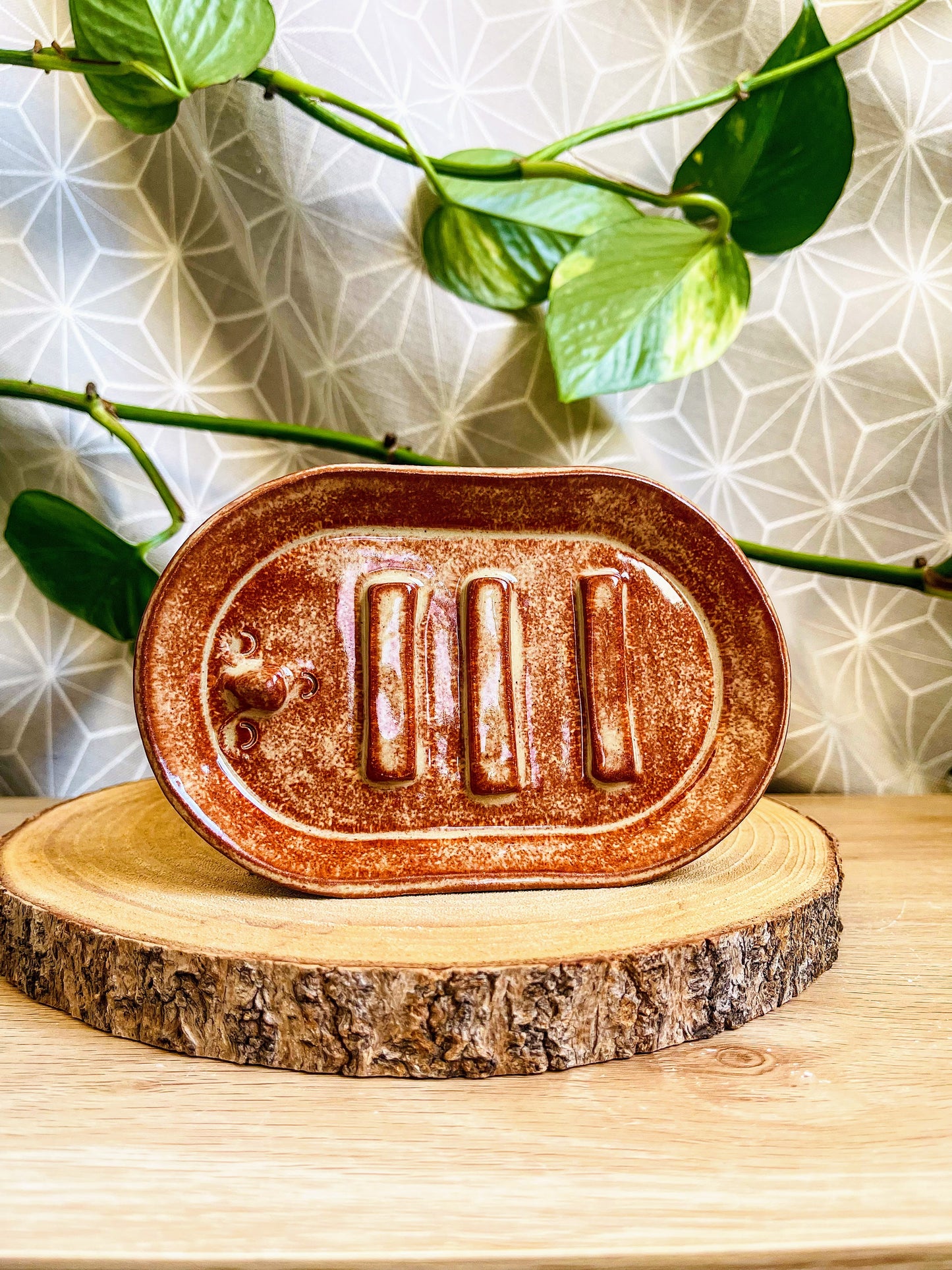 ovalish soap dish: various colours