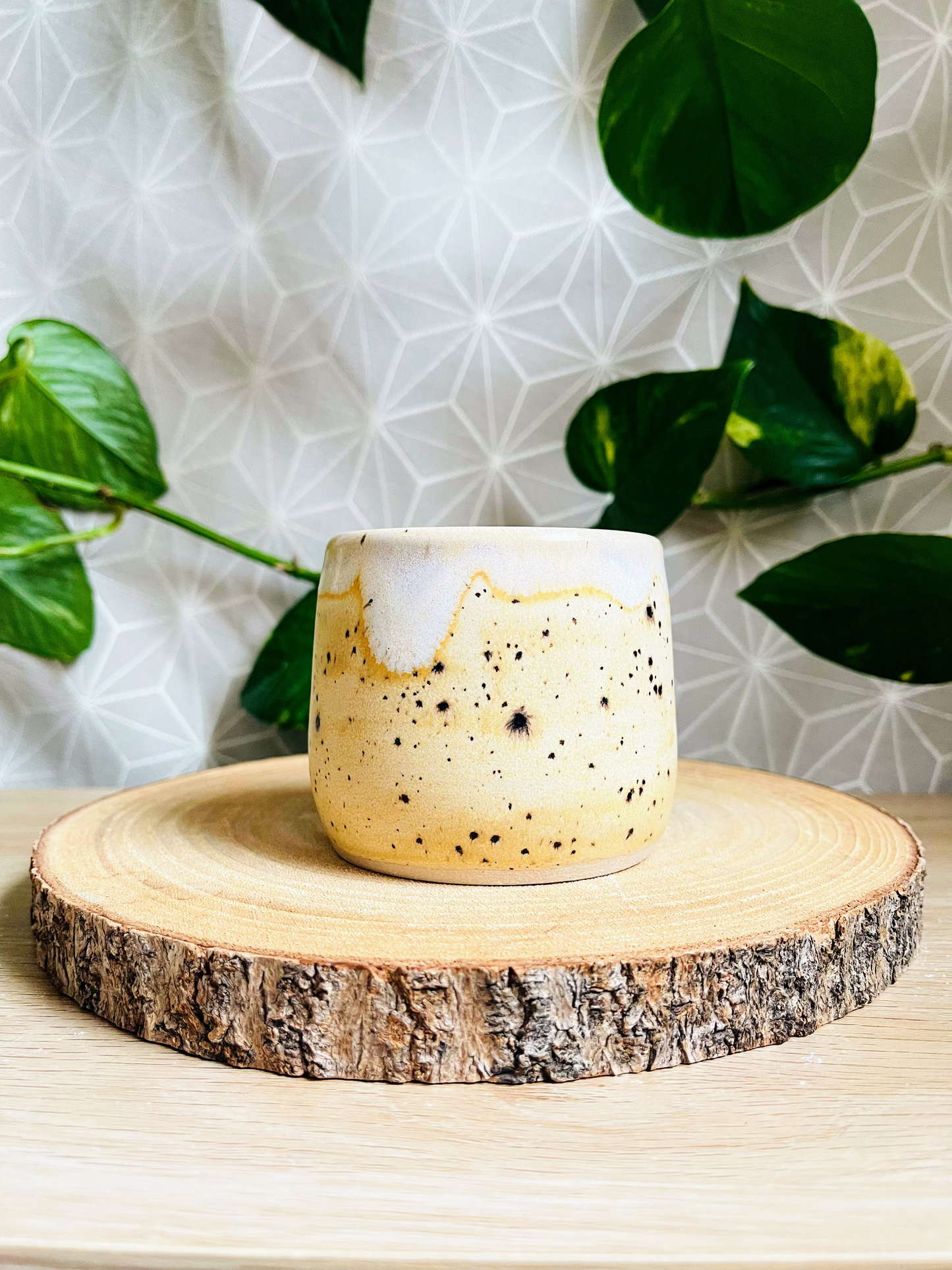 little pot & tiny cup: sandstone drift