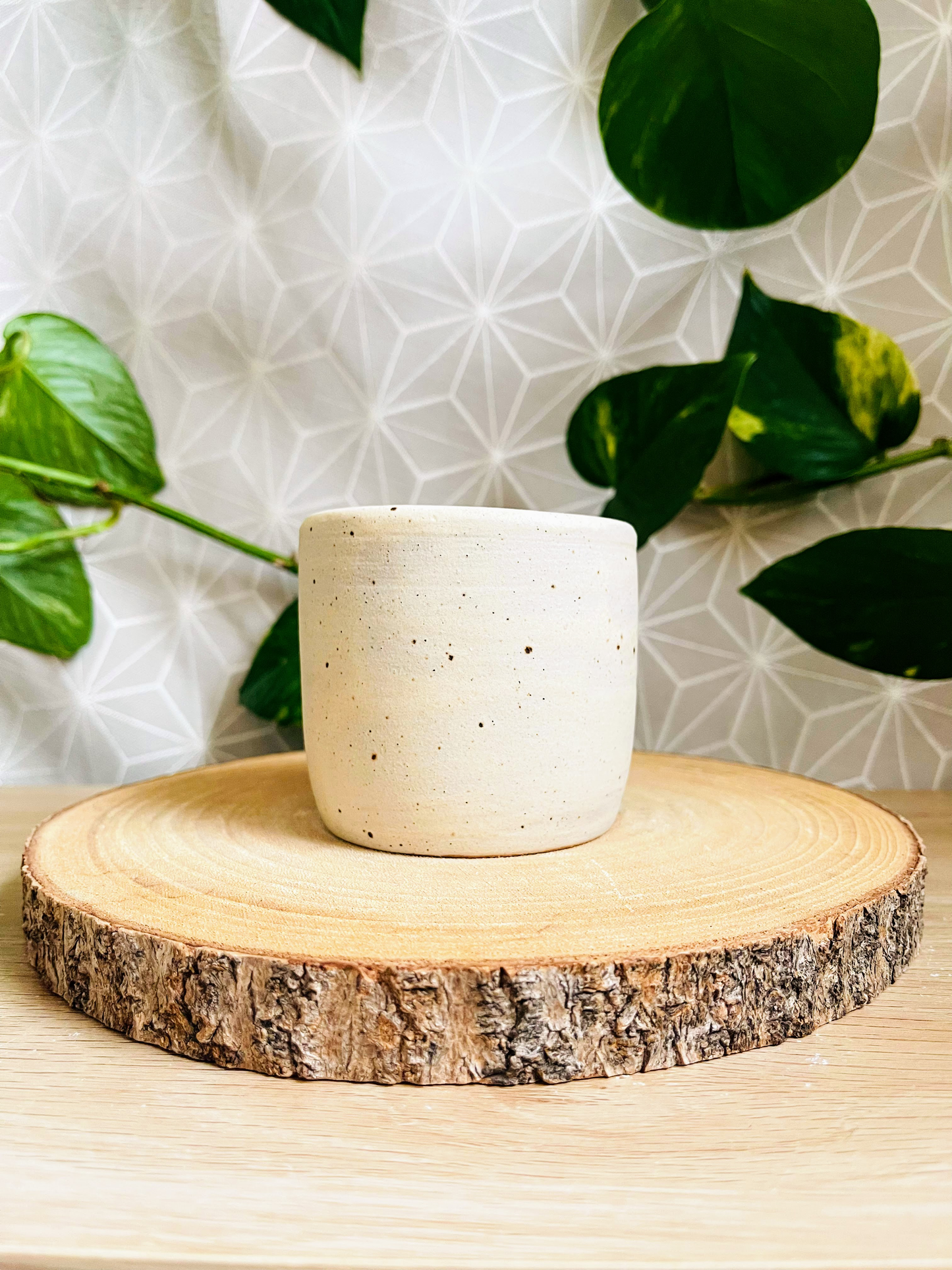 little pot & tiny pot: speckled ivory