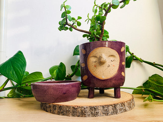 ** footed planter & dish: mulberry