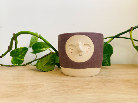 planter pot: mauve