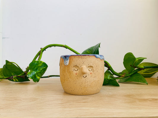 mini pot: amethyst wave drips