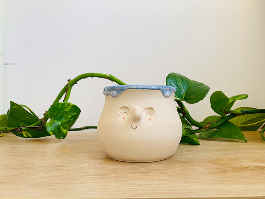 mini pot: cornflower drips