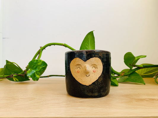 mini pot: rocky river