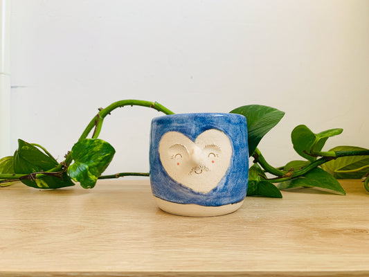 mini pot: cornflower