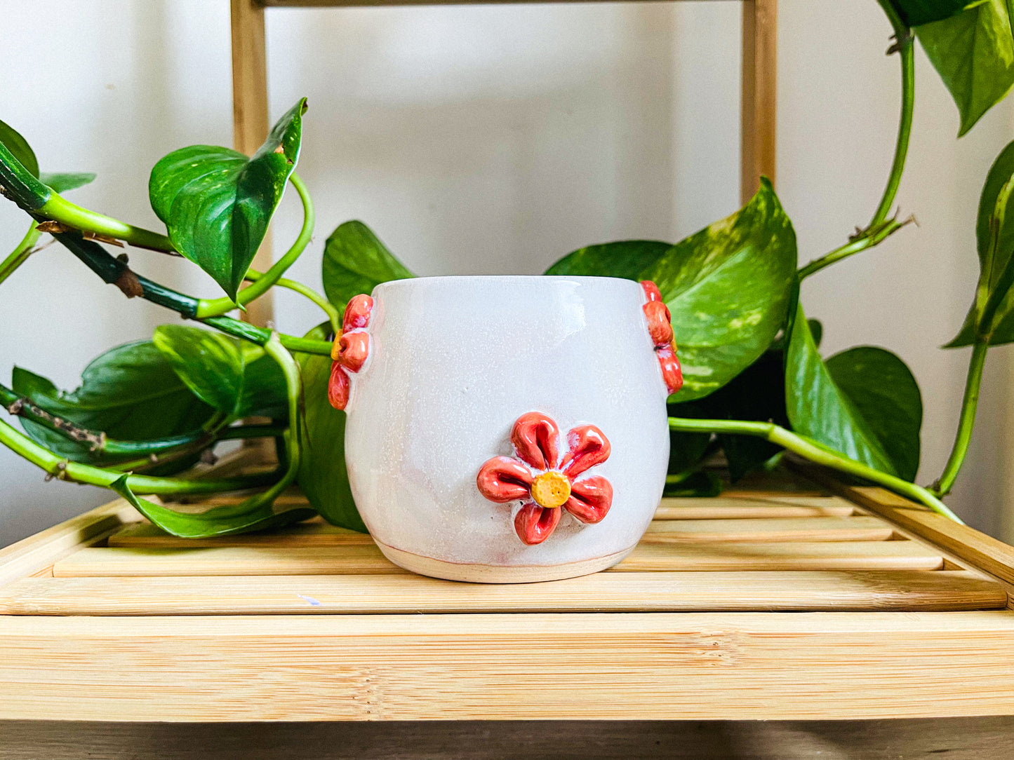 short cup/pot: strawberry milk