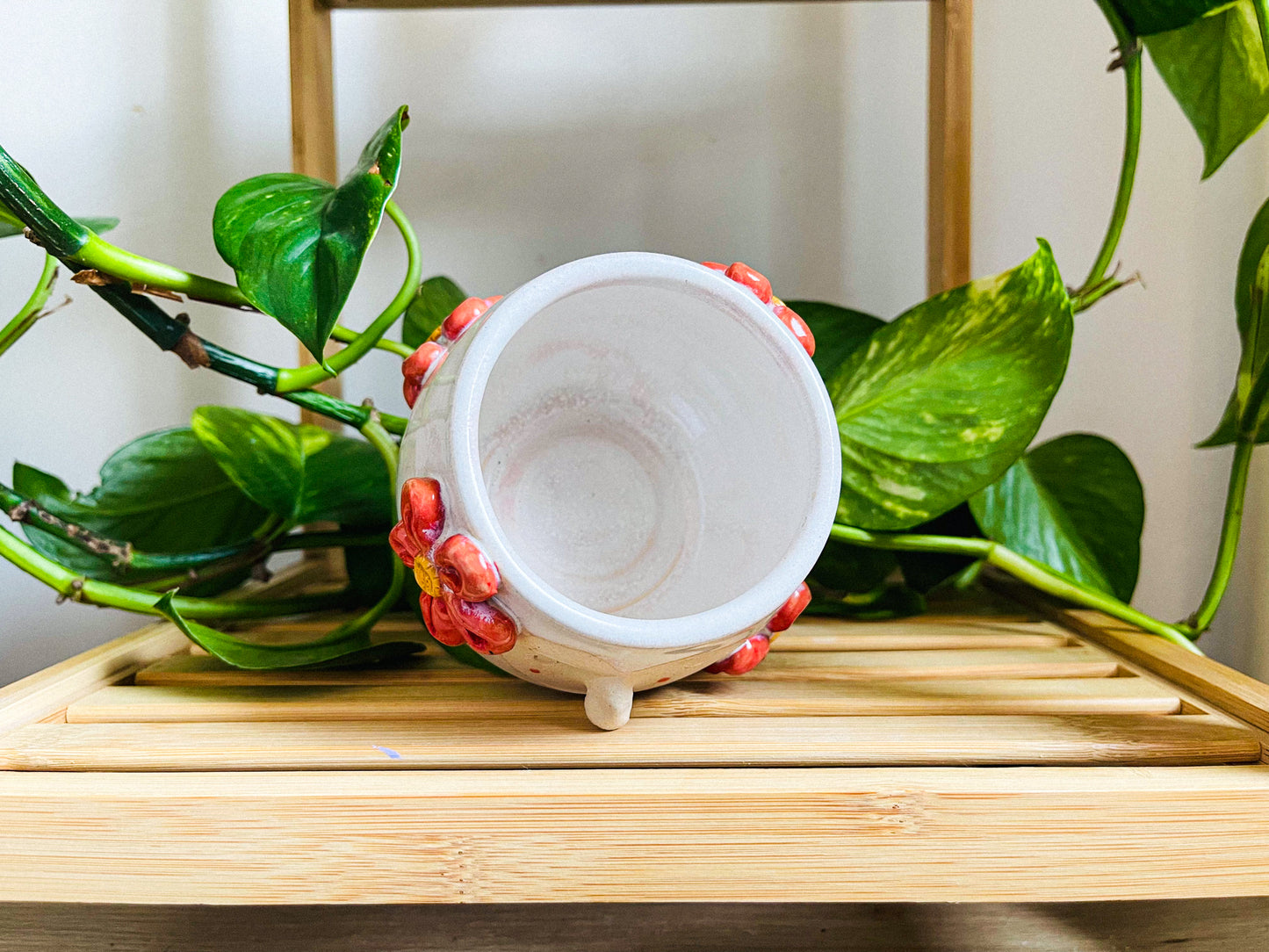 short cup/pot: strawberry milk