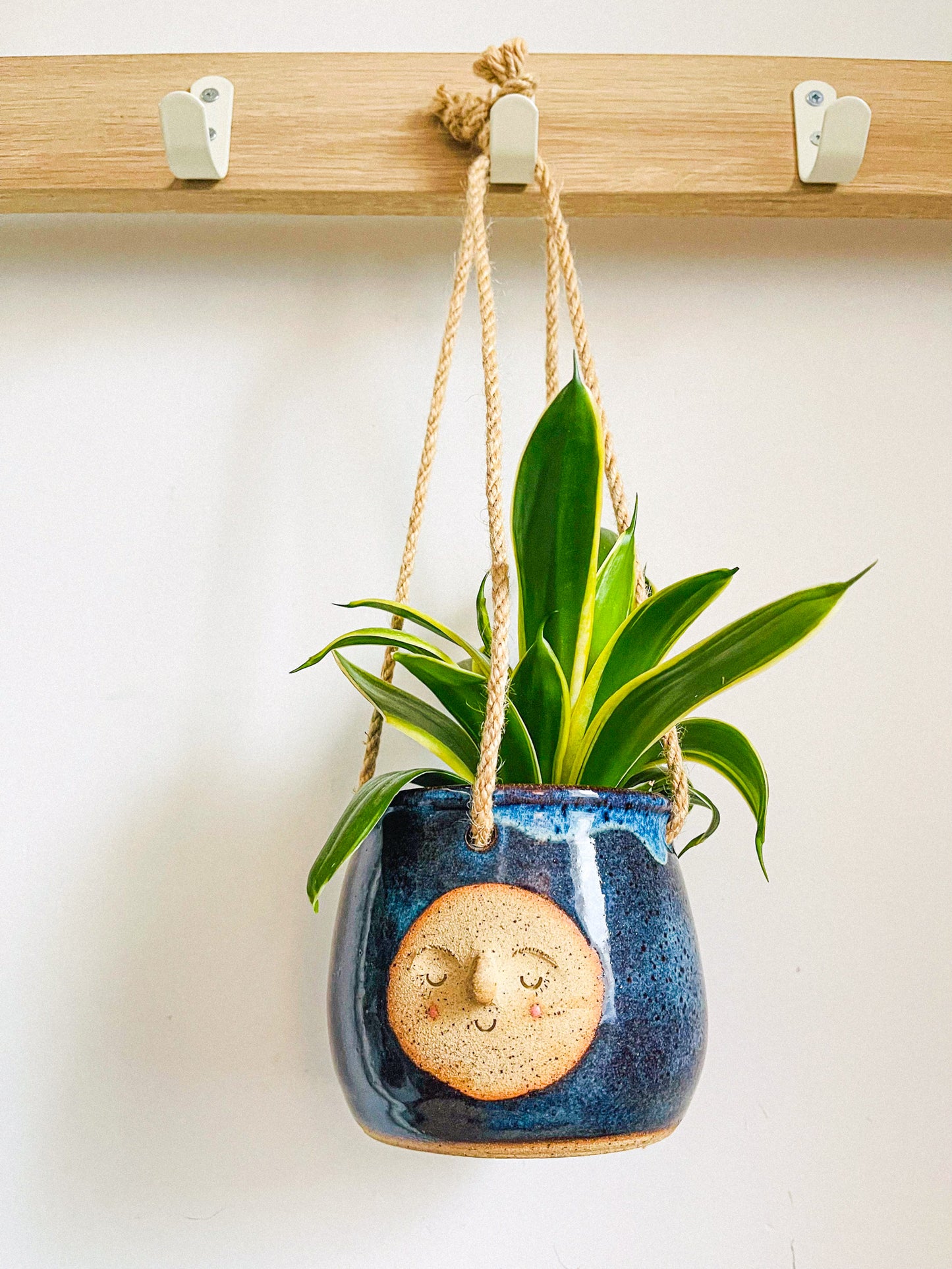 hanging planter: midnight rain