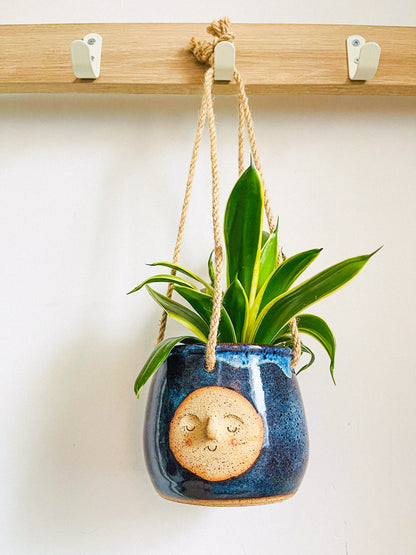hanging planter: midnight rain