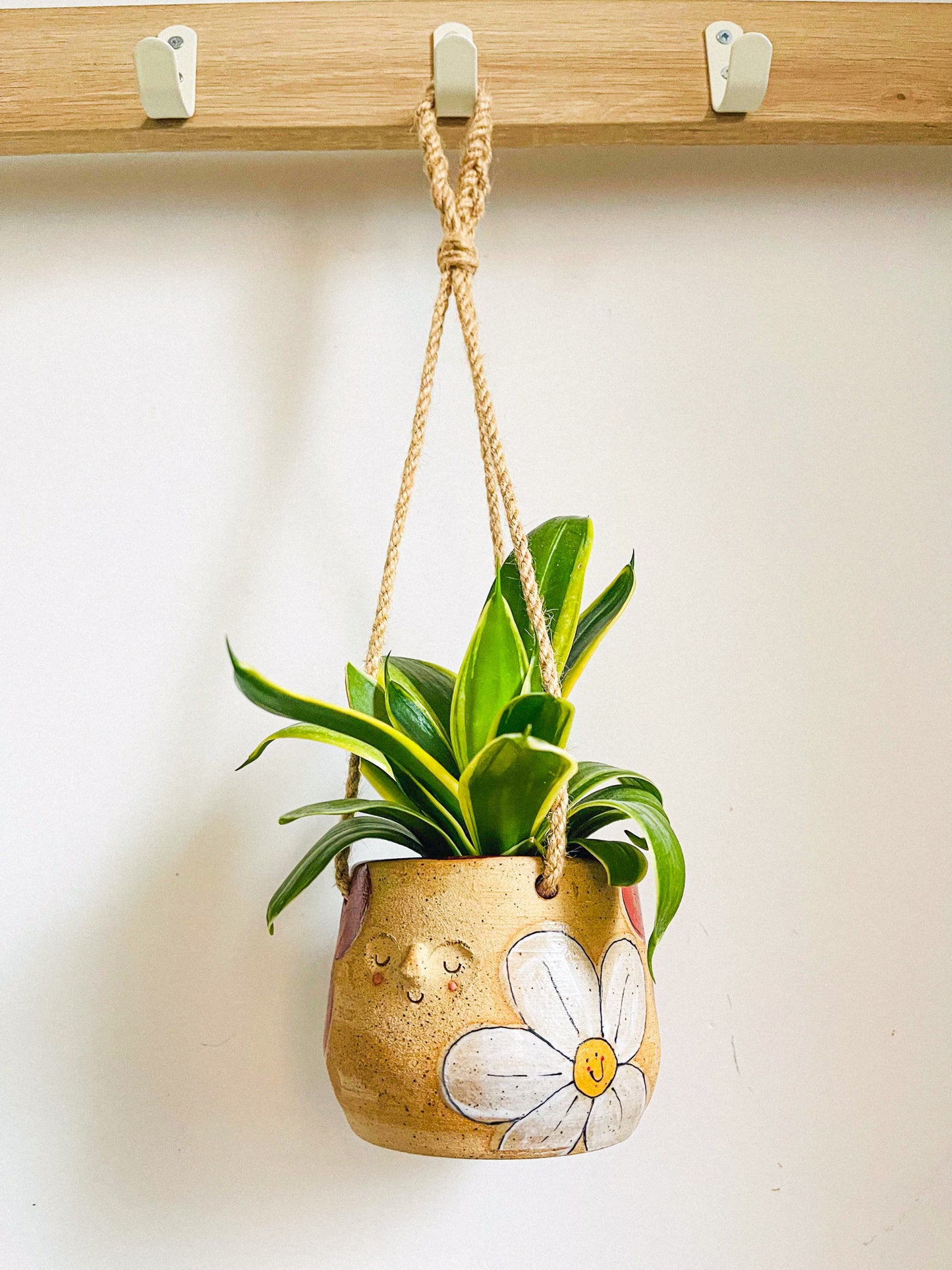 hanging planter: flower power