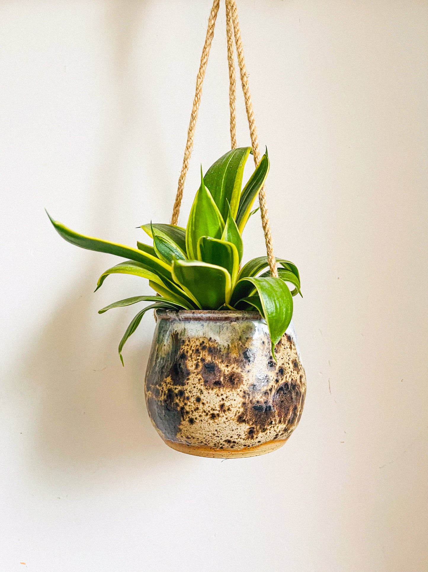 hanging planter: sandstone drift