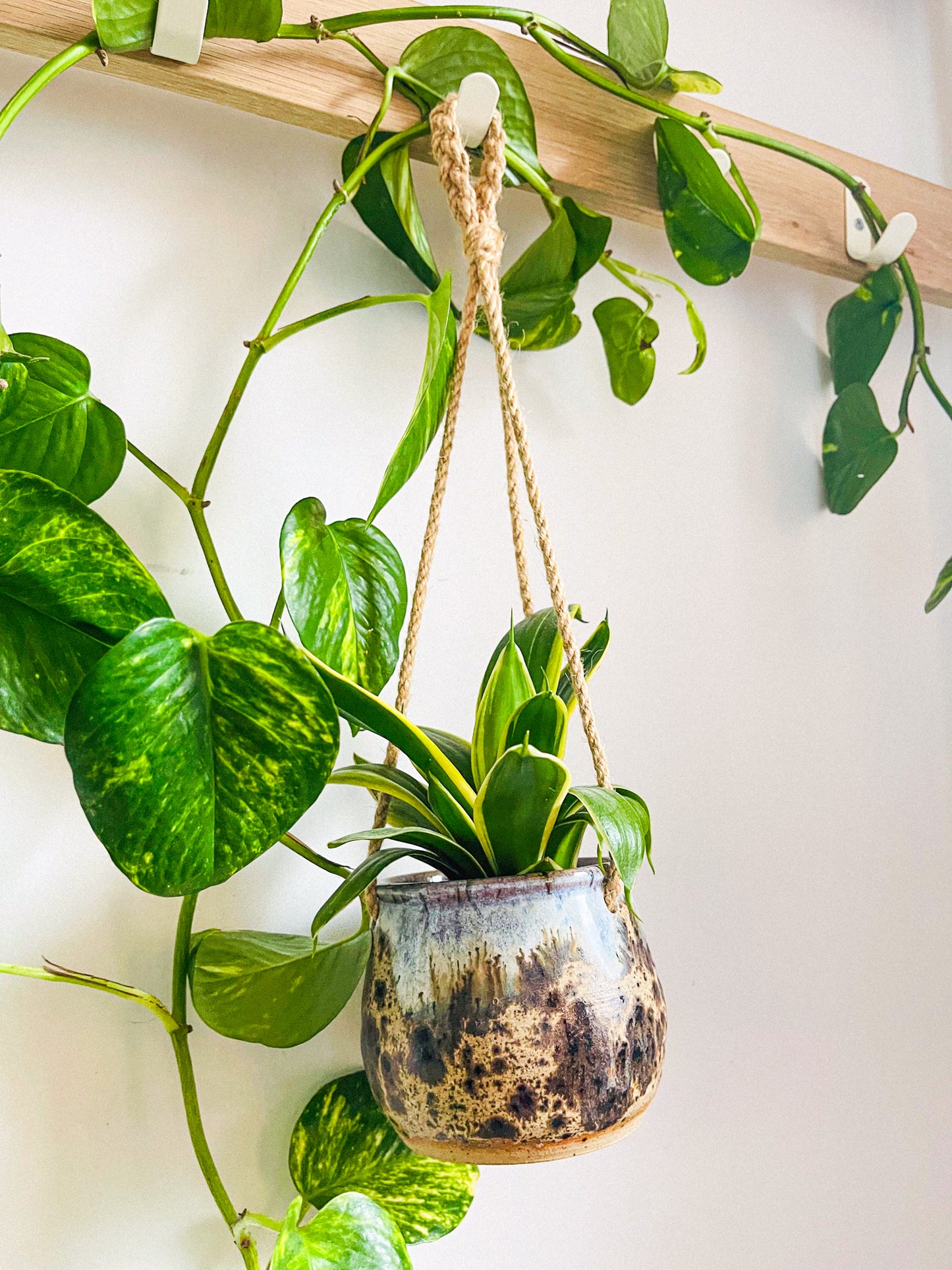 hanging planter: sandstone drift