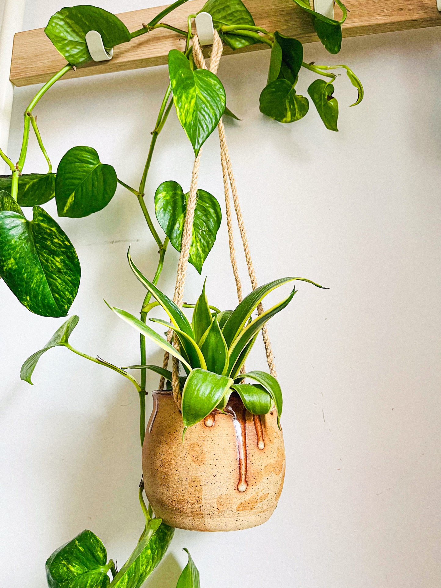 hanging planter: sepia drips
