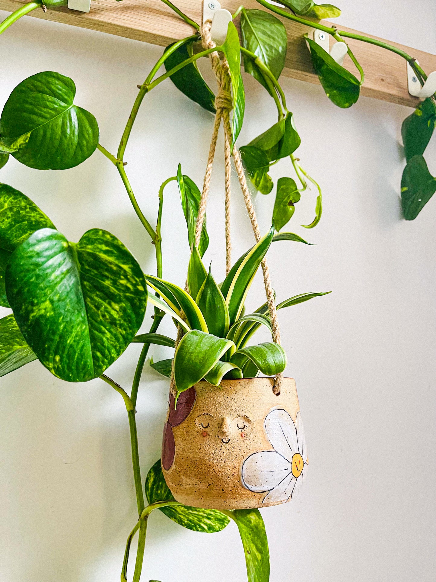 hanging planter: flower power
