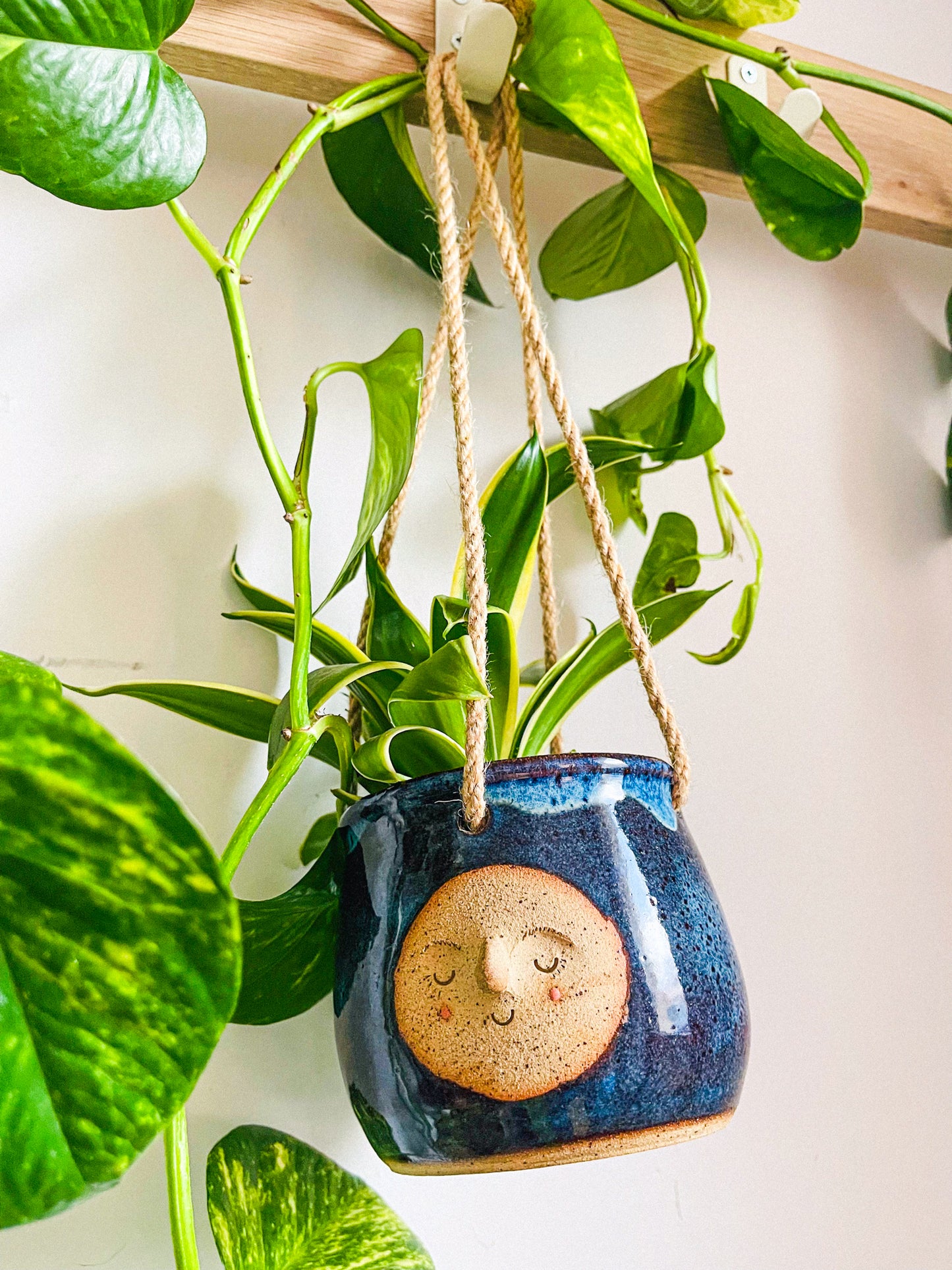 hanging planter: midnight rain