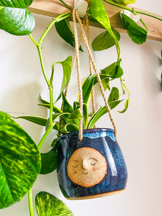 hanging planter: midnight rain