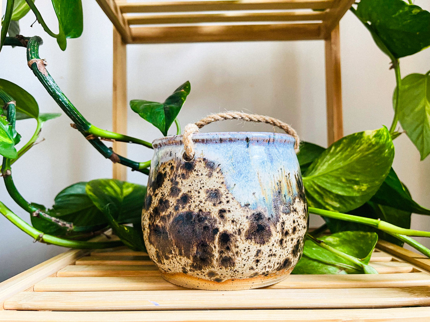 hanging planter: sandstone drift