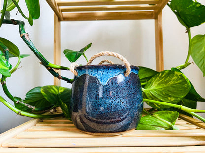 hanging planter: midnight rain