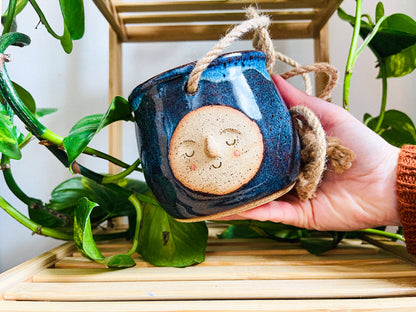 hanging planter: midnight rain