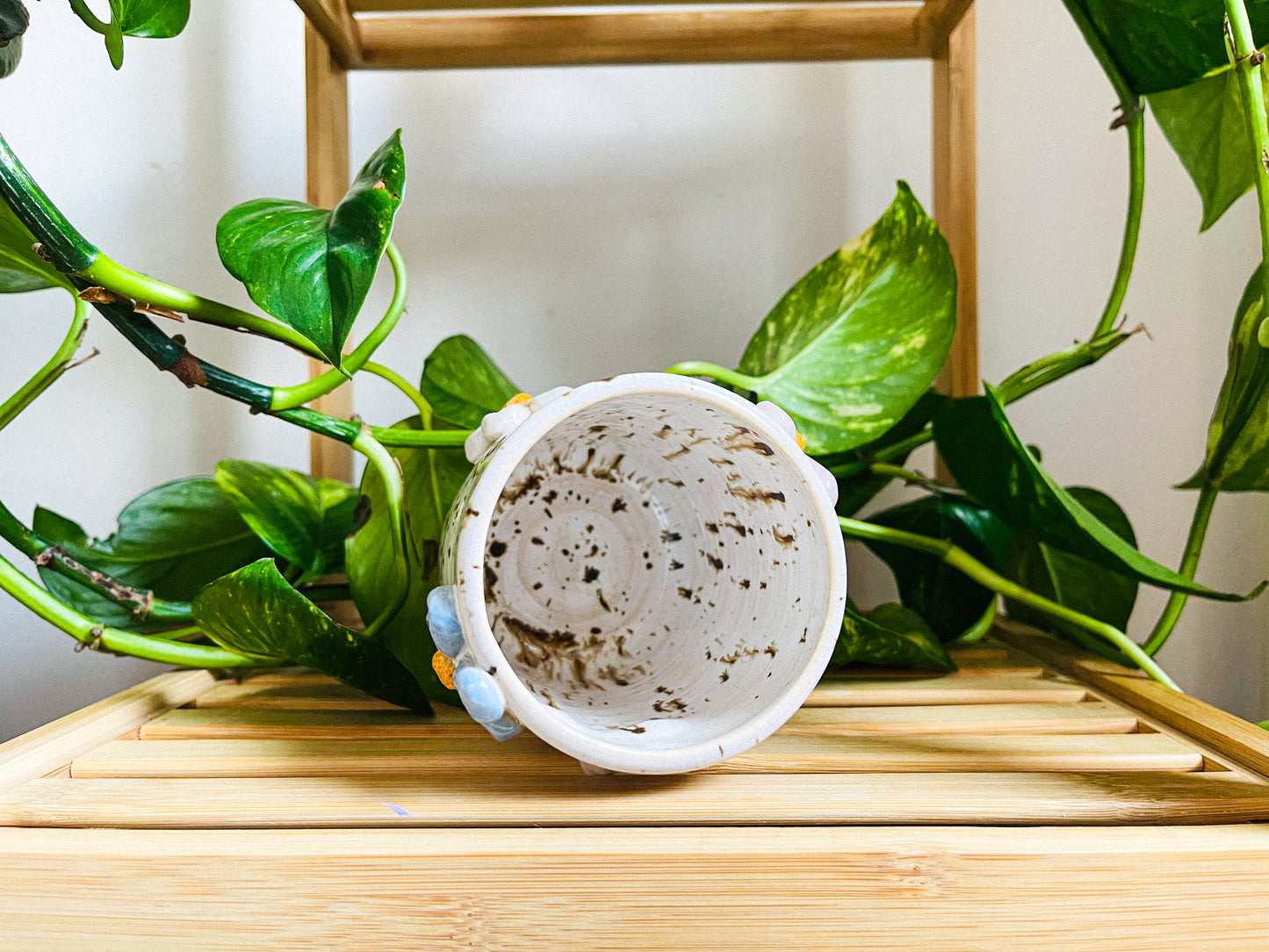 tall cup/pot: birch flowers