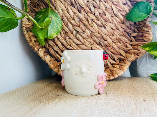 mini pot: daisies & ladybird