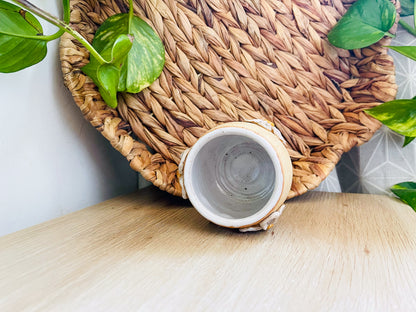 little cup: sand & daisies