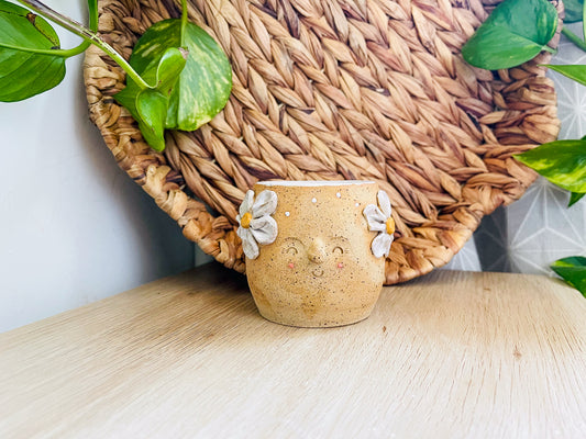 little cup: sand & daisies